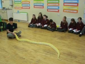 Reptile Zoo 097 (2)