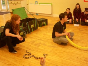Reptile Zoo 097 (3)