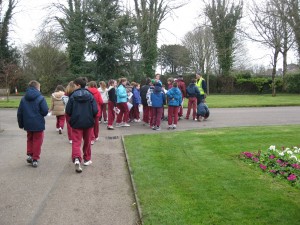 orienteering annd repitle zoo 5th class 003