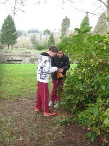 orienteering annd repitle zoo 5th class 004