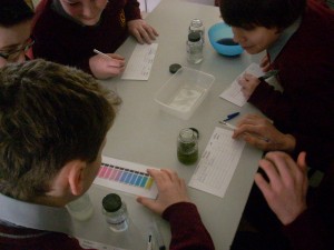 Science 6th 001