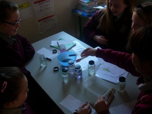 Science 6th 002
