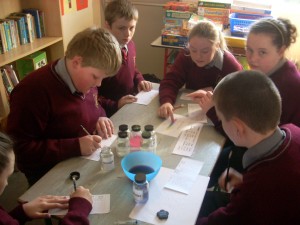 Science 6th 004