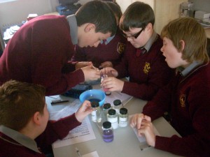 Science 6th 005