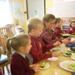 Harvesting the Garden2013 007