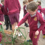 Harvesting the Garden2013 010