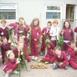 Harvesting the Garden2013 013