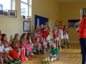 Juliet Murphy Cork Footballer Oct 16th 2013 (42)