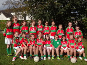 Juliet Murphy Cork Footballer Oct 16th 2013 (59)