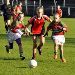 Copy of Sciath na Scol Final 036