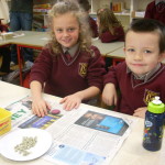 Primary Science Week Sr. Infants 008