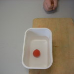 Primary Science Week Sr. Infants 020