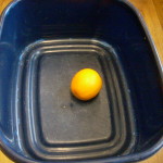 Primary Science Week Sr. Infants 028