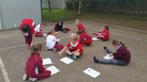 20151014_131414_resized (2)