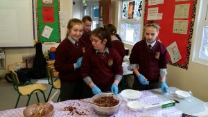 20151124_113909_resized