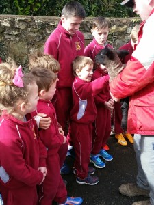 20160302_120420_resized