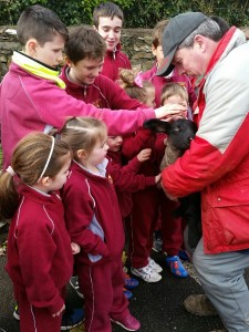 20160302_120448_resized