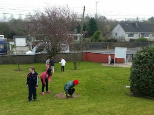 20160316_102435_resized